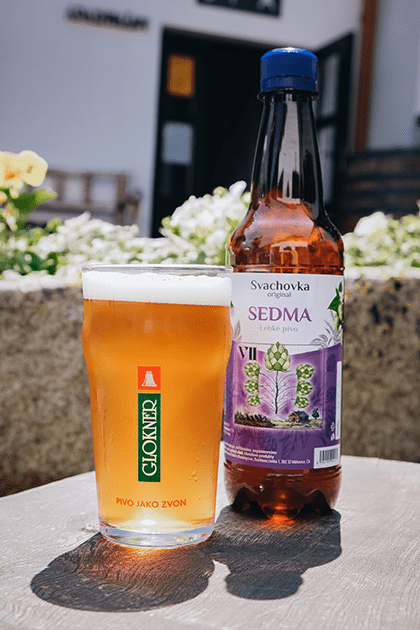 SEDMA