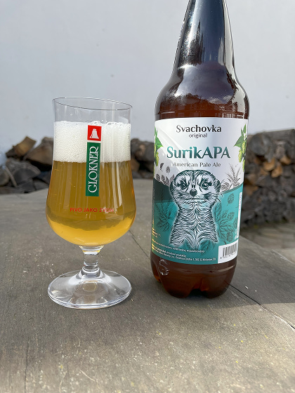 SurikAPA 11