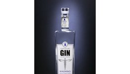 98_gin