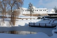 Silvestr